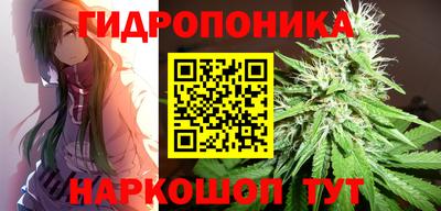 дурь Канаш
