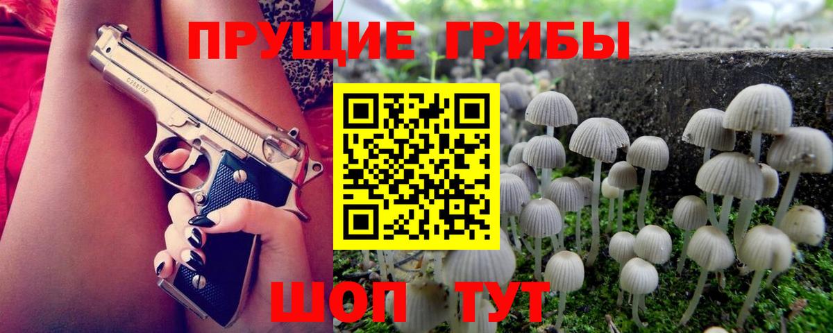 Курчатов  даркнет сайт  Вход с VPN  Псилоцибиновые грибы мухоморы  Галлюциногенные грибы мицелий 