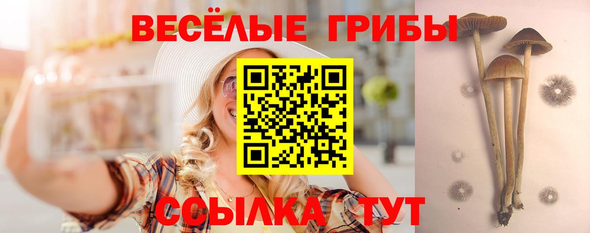 Псилоцибиновые грибы мухоморы Курчатов